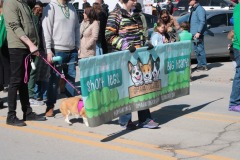 corgi