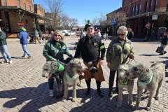 irish_wolf_hounds