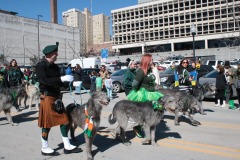 irish_wolf_hounds2