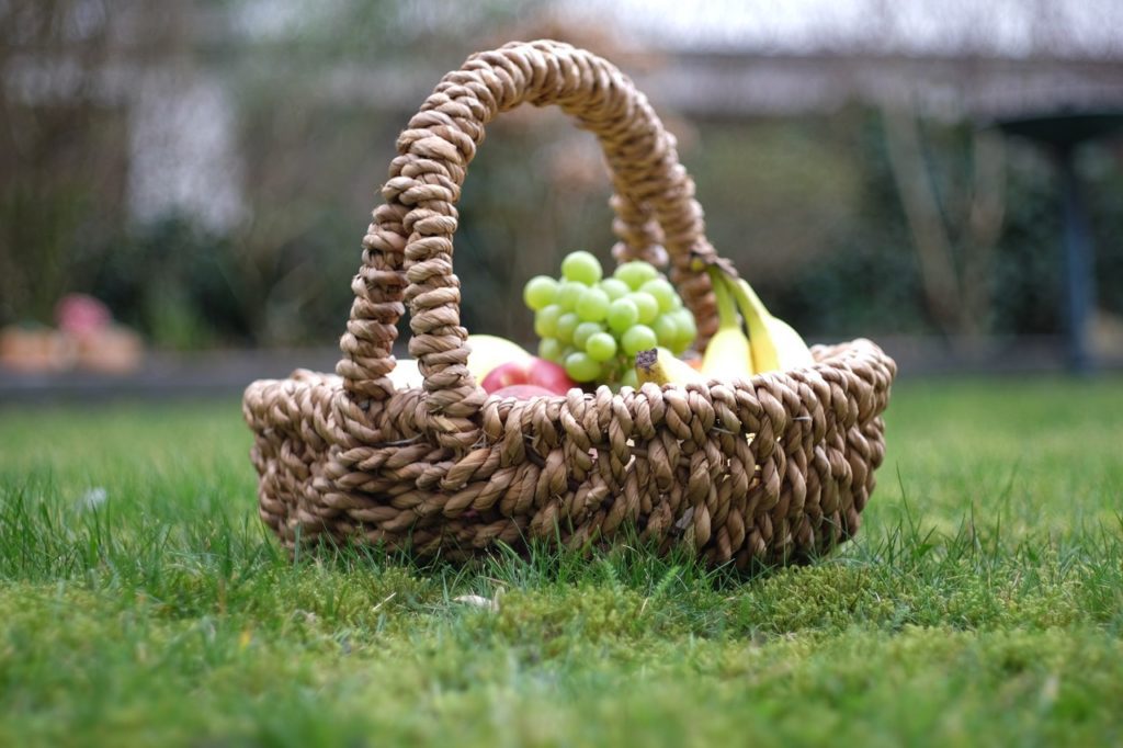 garden, apple, fruit-2124757.jpg